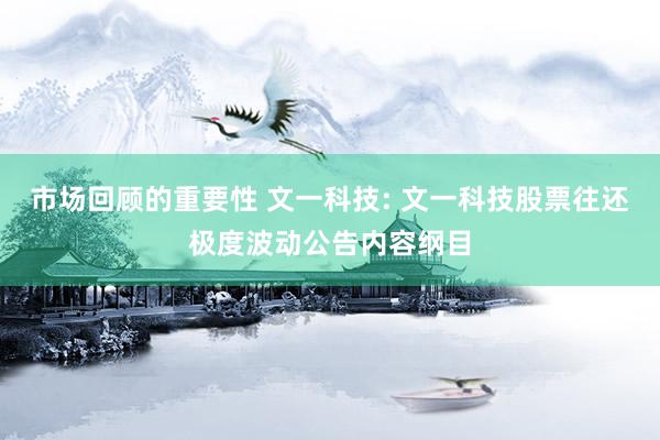 市场回顾的重要性 文一科技: 文一科技股票往还极度波动公告内容纲目