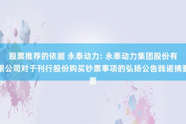 股票推荐的依据 永泰动力: 永泰动力集团股份有限公司对于刊行股份购买钞票事项的弘扬公告践诺摘要