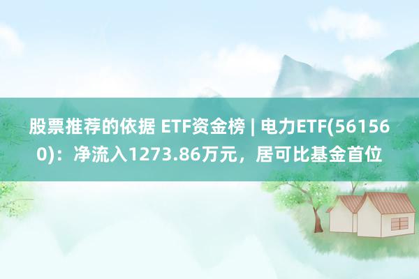 股票推荐的依据 ETF资金榜 | 电力ETF(561560)：净流入1273.86万元，居可比基金首位