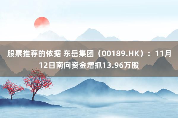 股票推荐的依据 东岳集团（00189.HK）：11月12日南向资金增抓13.96万股