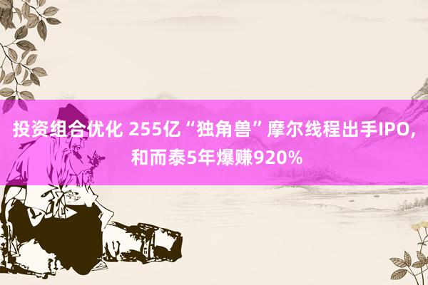 投资组合优化 255亿“独角兽”摩尔线程出手IPO, 和而泰5年爆赚920%