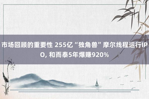 市场回顾的重要性 255亿“独角兽”摩尔线程运行IPO, 和而泰5年爆赚920%