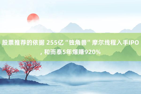 股票推荐的依据 255亿“独角兽”摩尔线程入手IPO, 和而泰5年爆赚920%