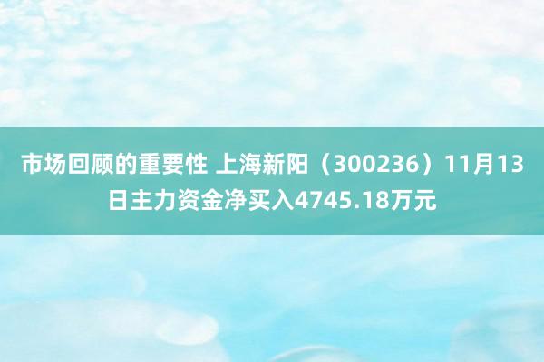 市场回顾的重要性 上海新阳（300236）11月13日主力资金净买入4745.18万元