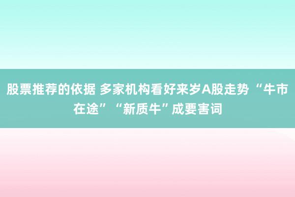 股票推荐的依据 多家机构看好来岁A股走势 “牛市在途” “新质牛”成要害词