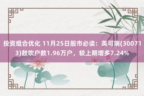 投资组合优化 11月25日股市必读：英可瑞(300713)鼓吹户数1.96万户，较上期增多7.24%