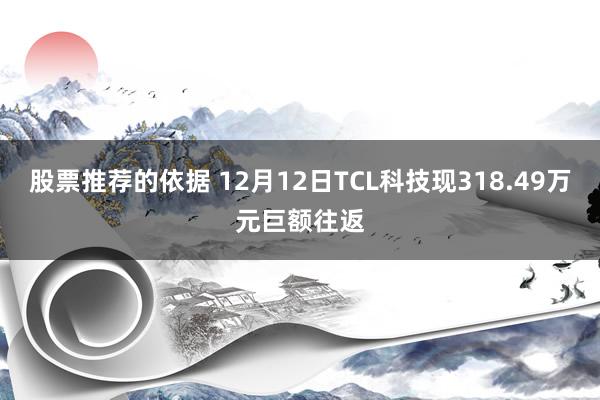 股票推荐的依据 12月12日TCL科技现318.49万元巨额往返