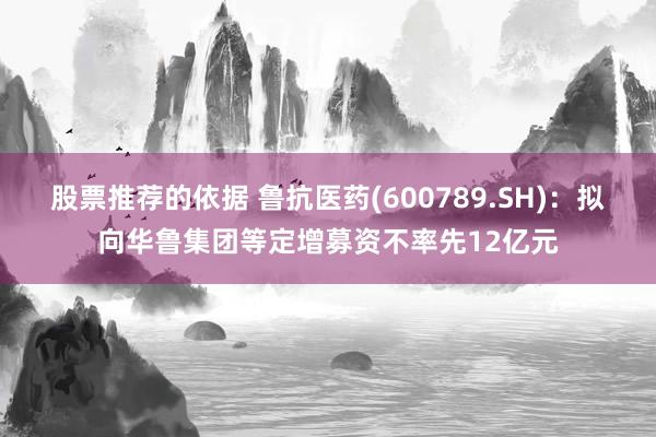 股票推荐的依据 鲁抗医药(600789.SH)：拟向华鲁集团等定增募资不率先12亿元