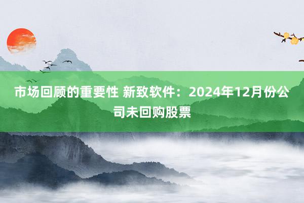 市场回顾的重要性 新致软件：2024年12月份公司未回购股票