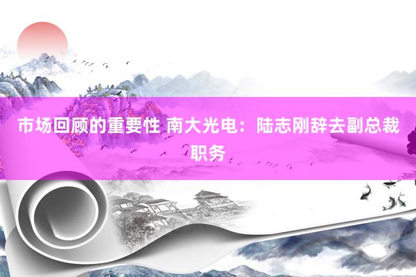 市场回顾的重要性 南大光电：陆志刚辞去副总裁职务