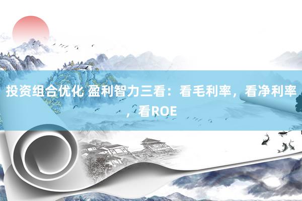 投资组合优化 盈利智力三看：看毛利率，看净利率，看ROE