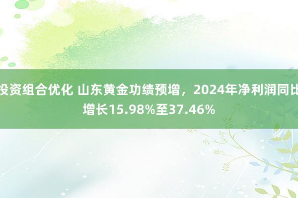 投资组合优化 山东黄金功绩预增，2024年净利润同比增长15.98%至37.46%