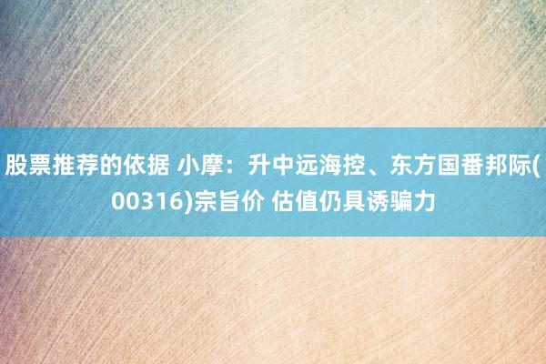 股票推荐的依据 小摩：升中远海控、东方国番邦际(00316)宗旨价 估值仍具诱骗力