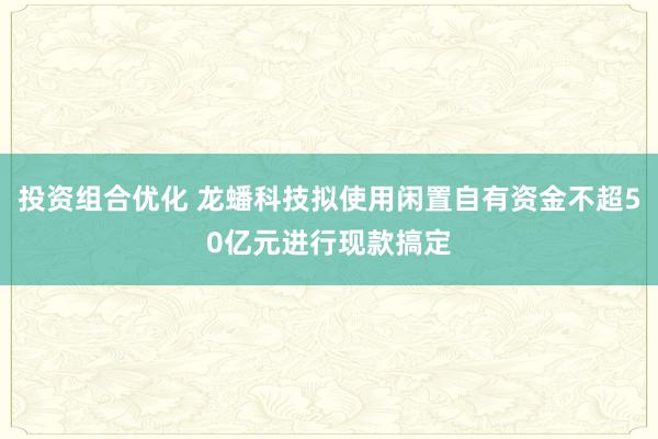 投资组合优化 龙蟠科技拟使用闲置自有资金不超50亿元进行现款搞定