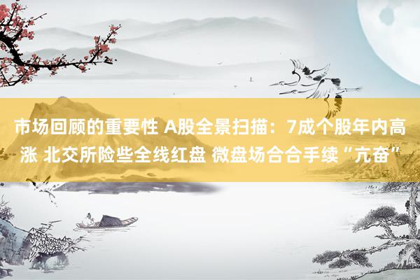 市场回顾的重要性 A股全景扫描：7成个股年内高涨 北交所险些全线红盘 微盘场合合手续“亢奋”