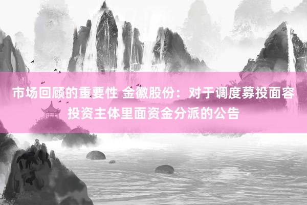 市场回顾的重要性 金徽股份：对于调度募投面容投资主体里面资金分派的公告